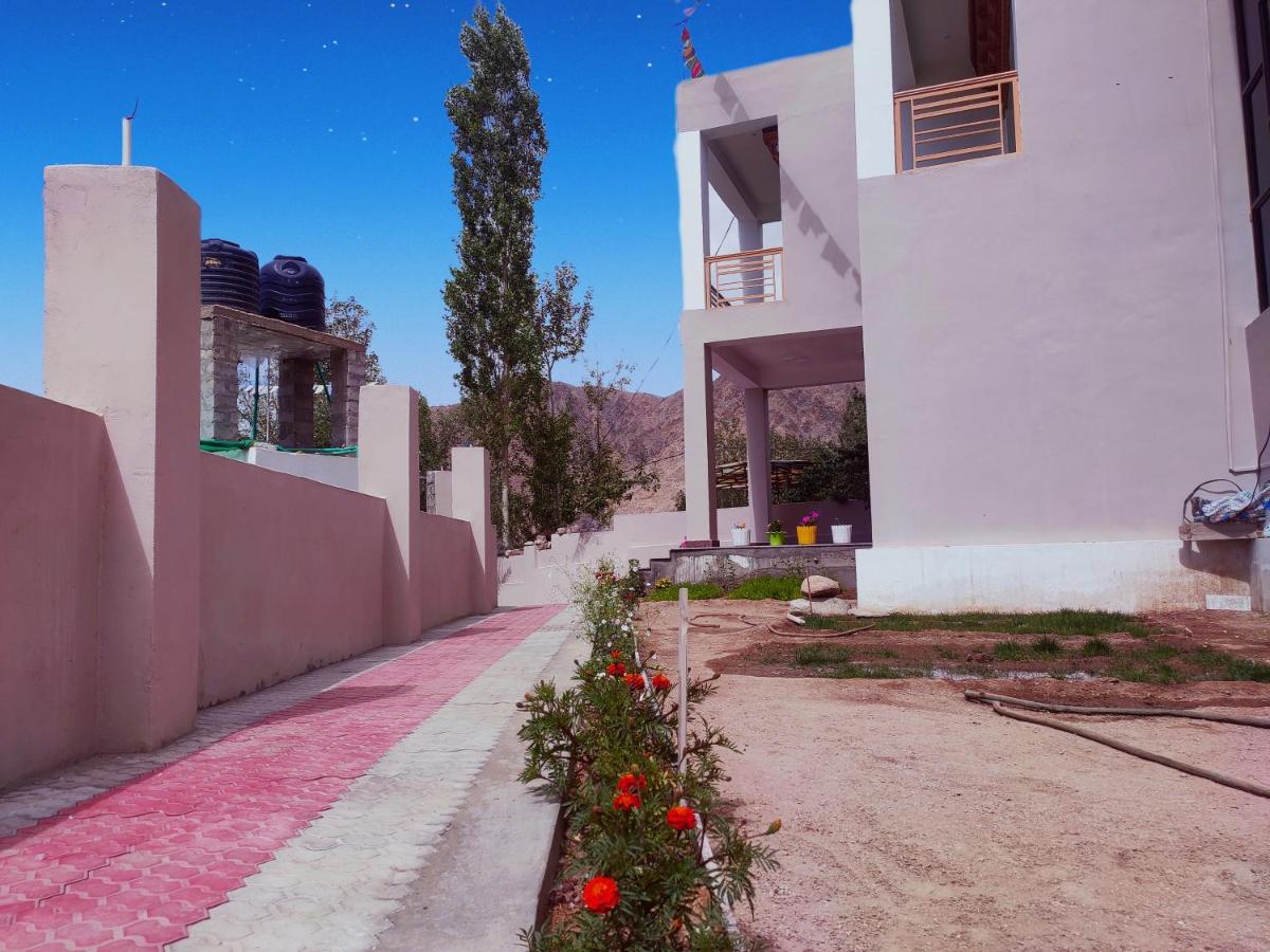 Outside deck with sunbeds and lounge with trees and hill at Villa Lion View
